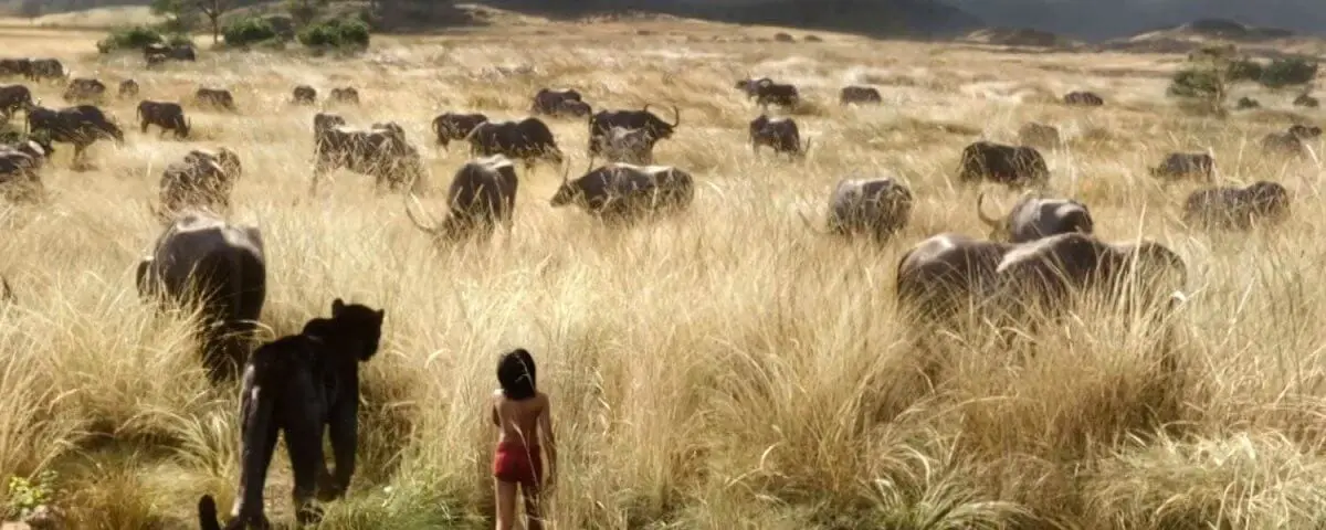 Disney Jungle Book