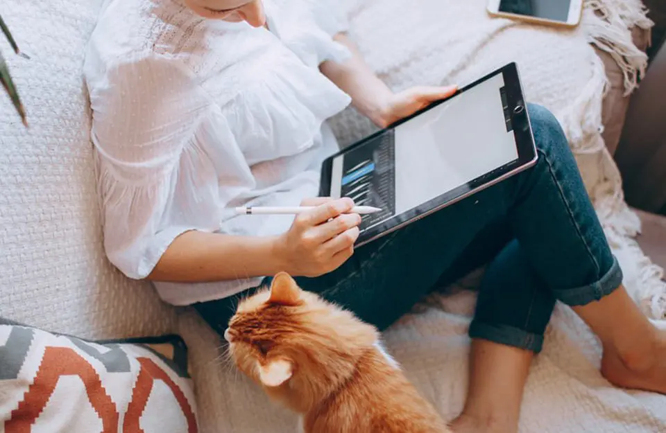 The work-from-anywhere trend is here to stay, to the benefit of big tech. Picture: Helena Lopes/Unsplash