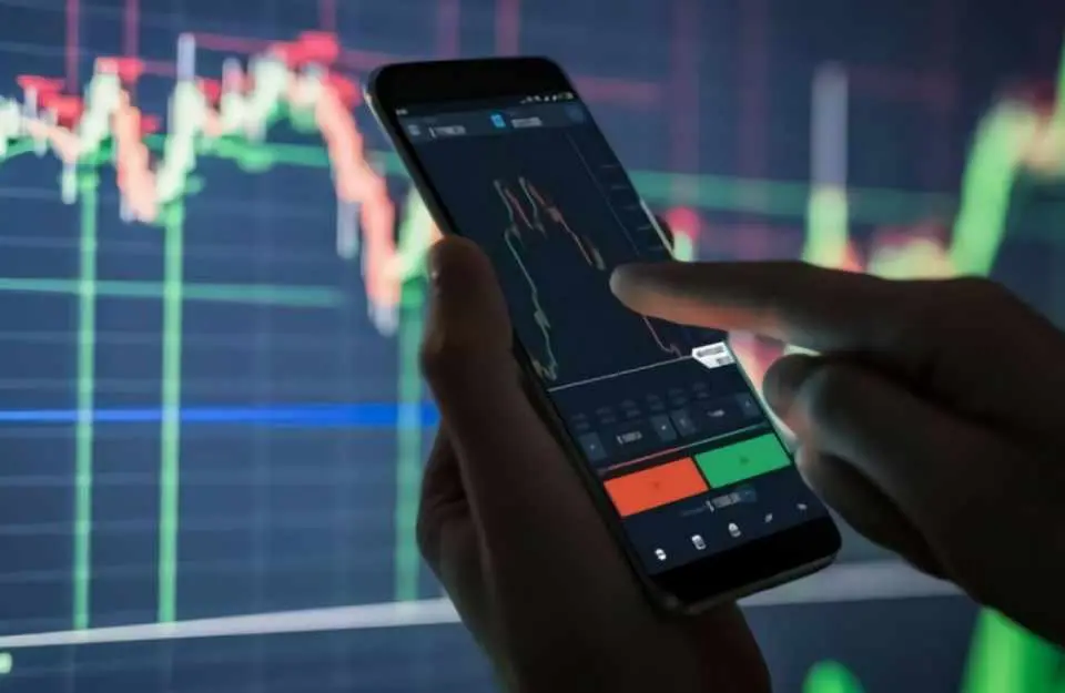 Fenestra Out Performs Again