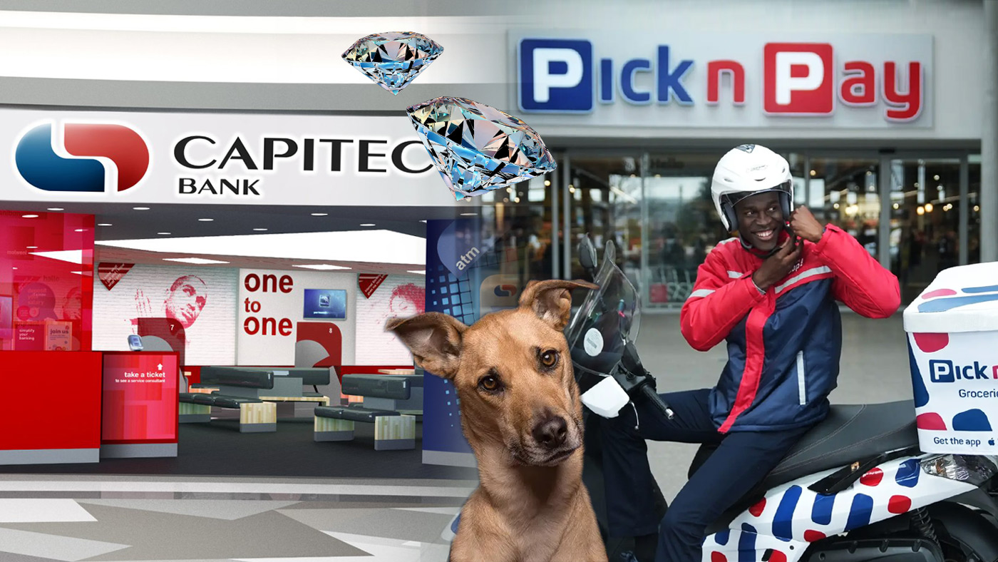 Fenestra Asset Management Capitec Bank Diamond Pick 'n Pay Dog